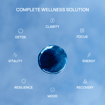 Meraki Blu USP Grade Methylene Blue